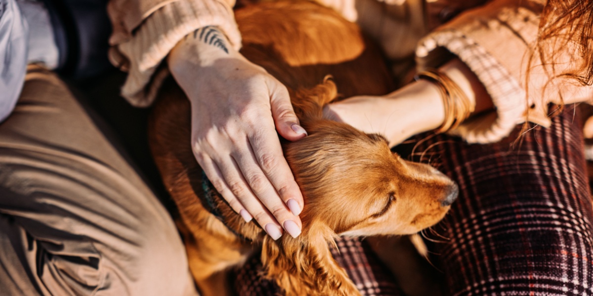 Emotional Support Animals and Mental Health