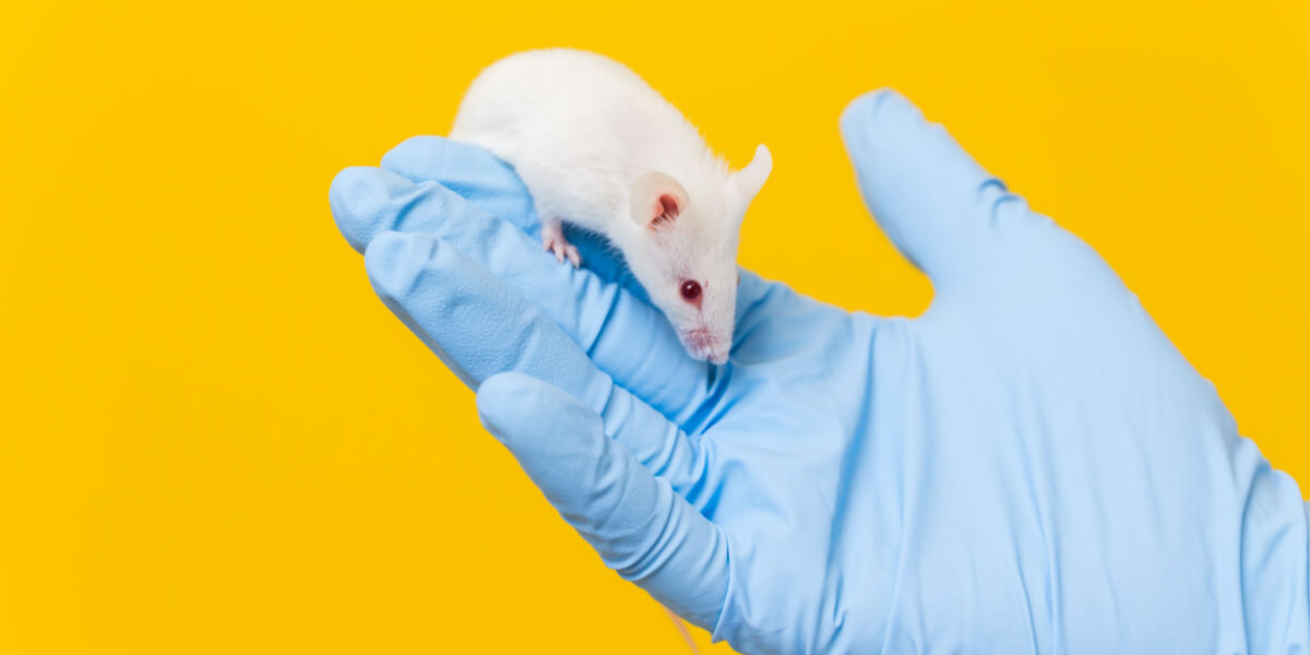 LSD-Like Drug Relieves Depression and Anxiety in Mice