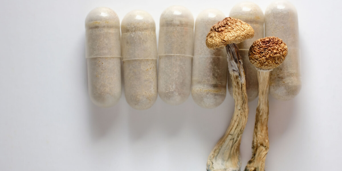 Colorado Votes to Decriminalize Magic Mushrooms and Other Psychedelics