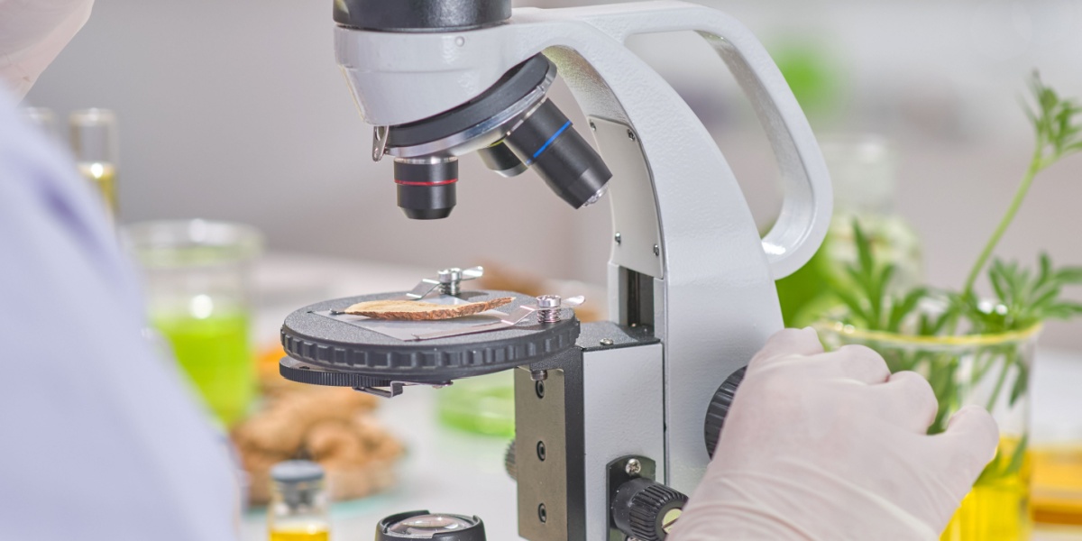 Texas Invests $50M in Ibogaine Research to Treat Addiction