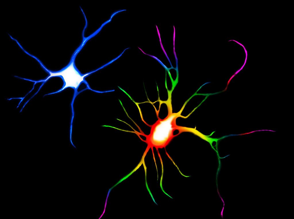 Tryptamine Psychedelics