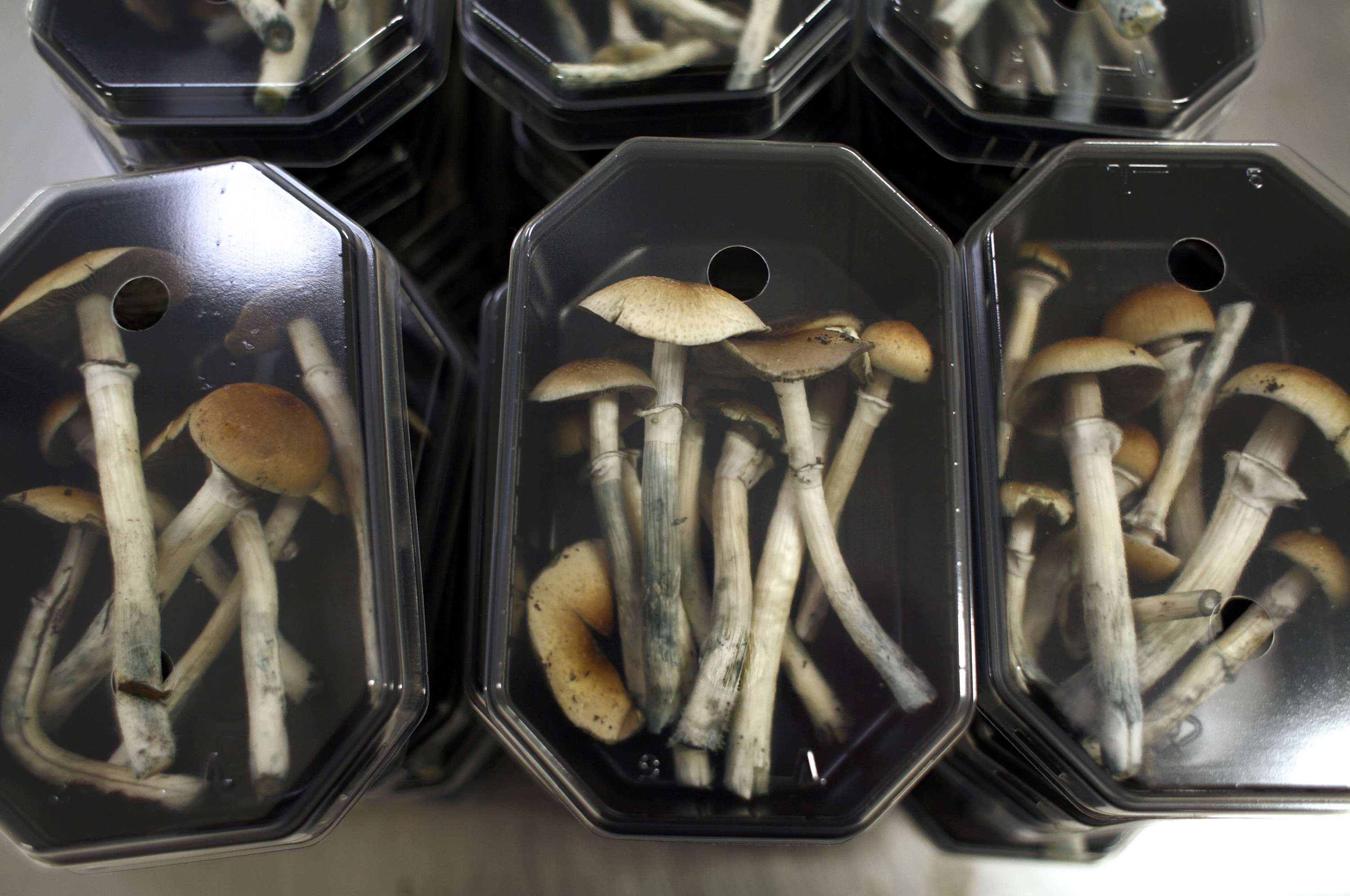 Famous Psychedelic Researchers