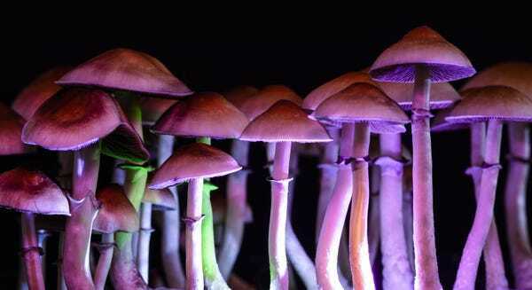 How To Invest In Psychedelics