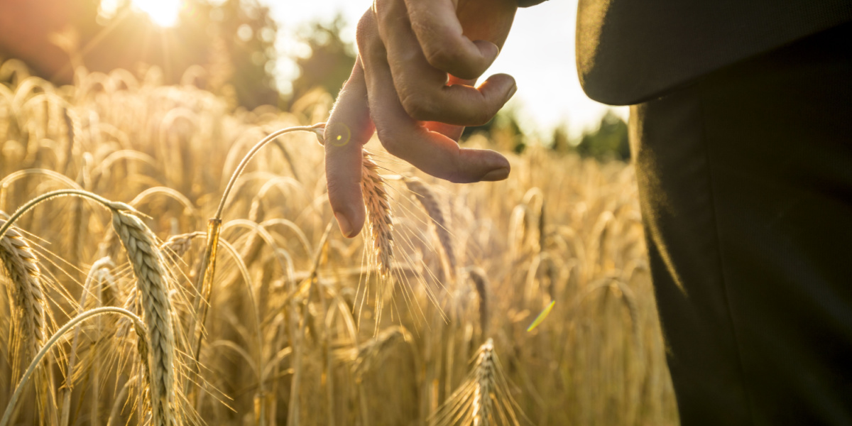 Mindfulness Practices to Help With Recovery