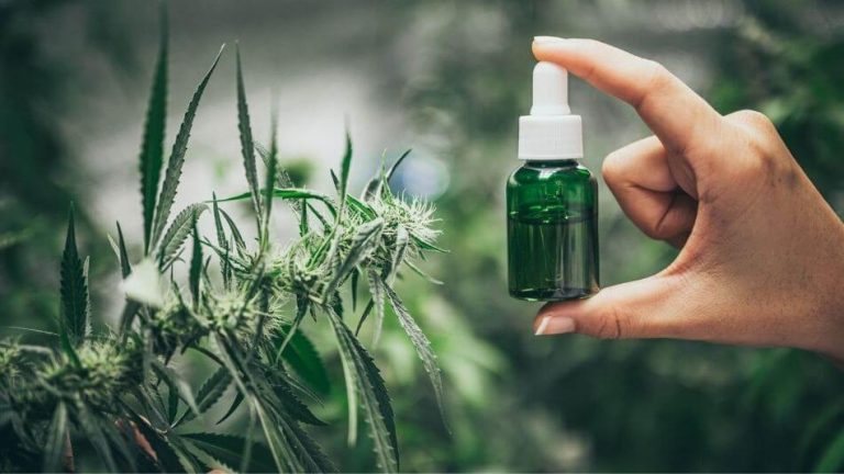 What Is CBD Used For